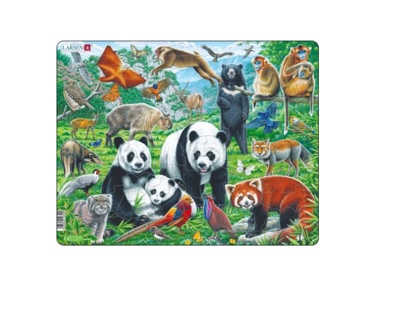Papist puzzle 56-osaline Hiina metsik loodus MAXI FH43 Larsen