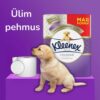 Kleenex tualettpaber Coussine 24 rulli 135 lehte 3-kihiline – pilt 3