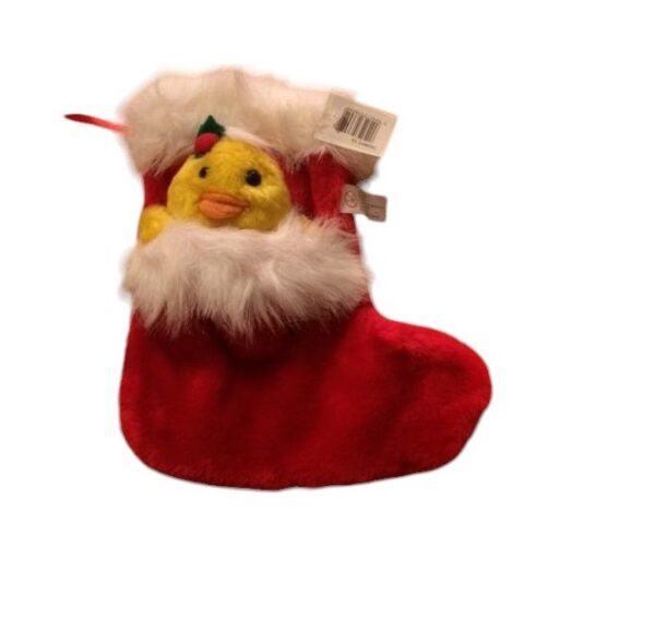 Päkapikususs Pardiga