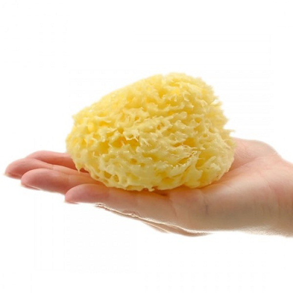 Bellini naturaalne svamm beebile NR.12 0+kuud