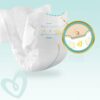 Pampers mähkmed Premium Care N5 (11-18kg) 88tk LÕPUMÜÜK!!! – pilt 5