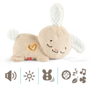 FISHER-PRICE rahustav kaisujänku