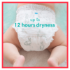 Pampers Premium Care Pants Püksmähkmed, Suurus 4, 22 Mähet, 9-15kg – pilt 3