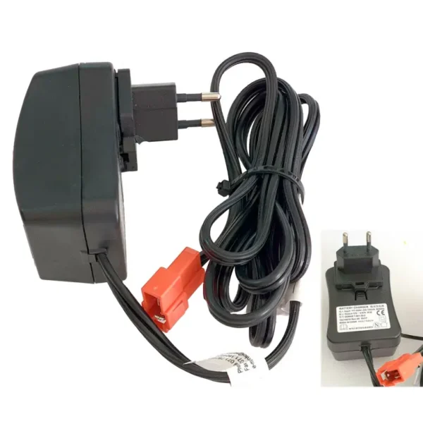 Laadija 12V, akudele 12AH RollyToys