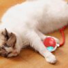 Catimo – interaktiivne kassipall saba , USB-laadijaga – siseruumidesse – pilt 9