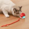 Catimo – interaktiivne kassipall saba , USB-laadijaga – siseruumidesse – pilt 8