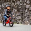 Berg Bike City red tasakaaluratas – pilt 4
