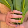 NAMAKI kolmest mahakooritavast küünelakist ja viilist koosnev komplekt, Sunset Water 3*7,5 ml – pilt 3