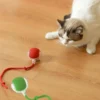 Catimo – interaktiivne kassipall saba , USB-laadijaga – siseruumidesse – pilt 6