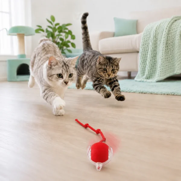 Catimo – interaktiivne kassipall saba , USB-laadijaga – siseruumidesse